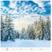 forest h171 012
